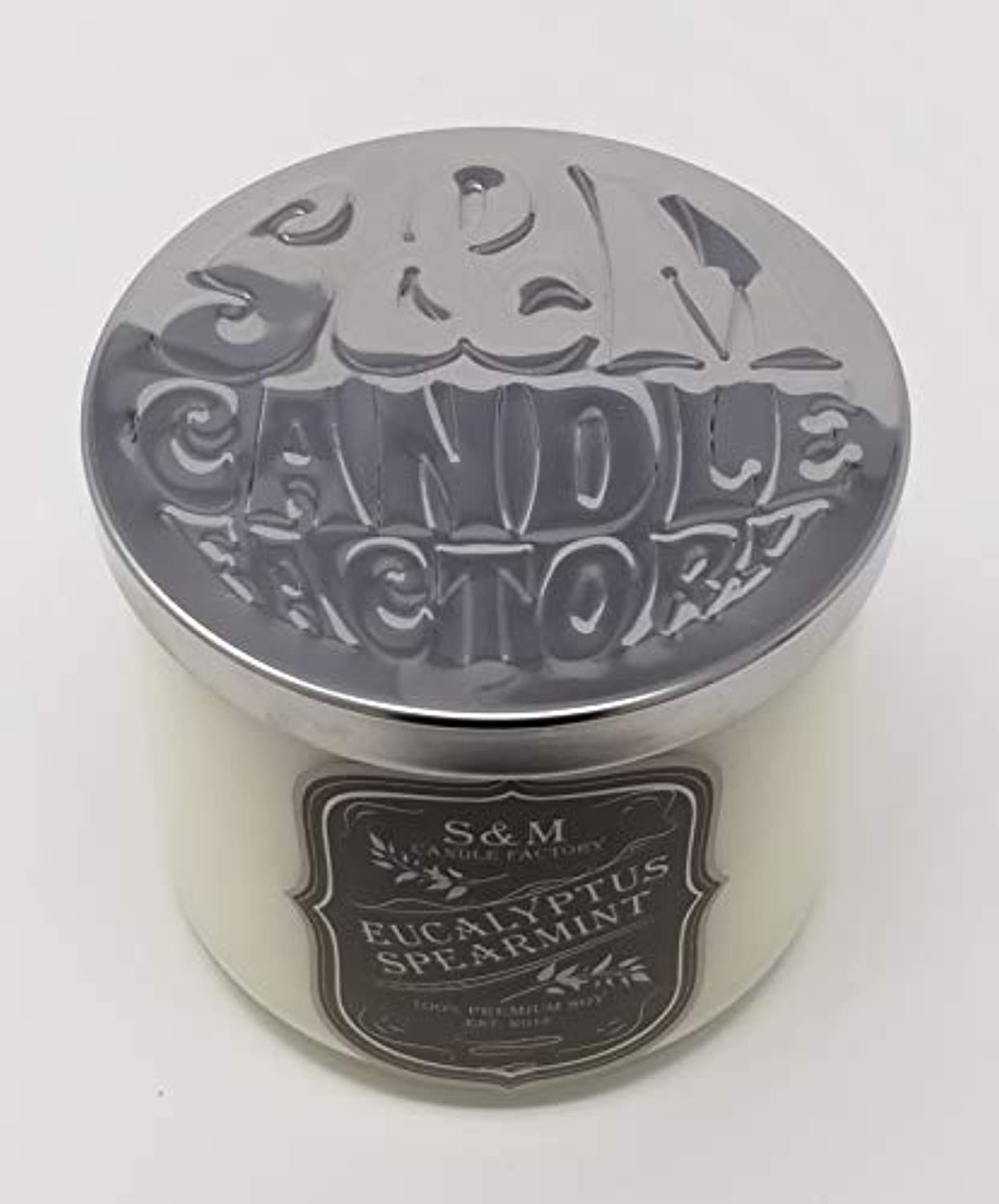 S&M Candle Factory - Vela aromática de aromaterapia, cera de soja, alivio del estrés, menta de eucalipto, fabricado en Estados Unidos