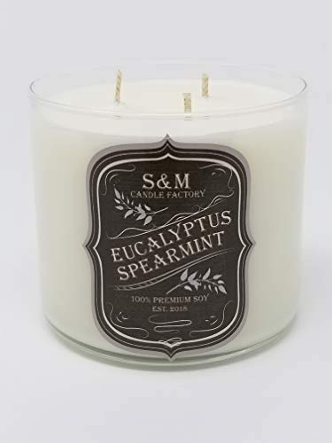 S&M Candle Factory - Vela aromática de aromaterapia, cera de soja, alivio del estrés, menta de eucalipto, fabricado en Estados Unidos