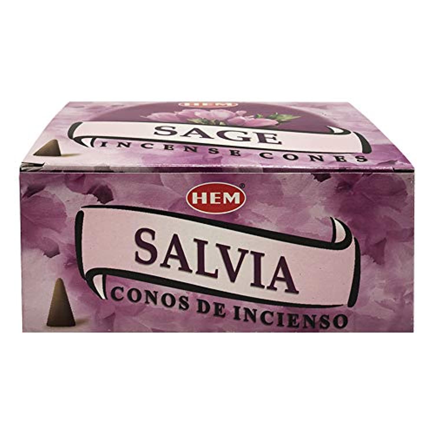 Conos de incienso de salvia y cono quemador de incienso paquete Insence Insense Inscents Insienso
