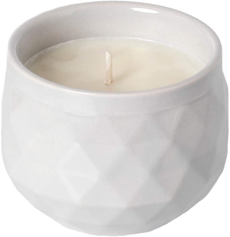 Plant Therapy Candy Cane Vela aromática natural de vacaciones 8 oz, perfumada naturalmente con aceites esenciales