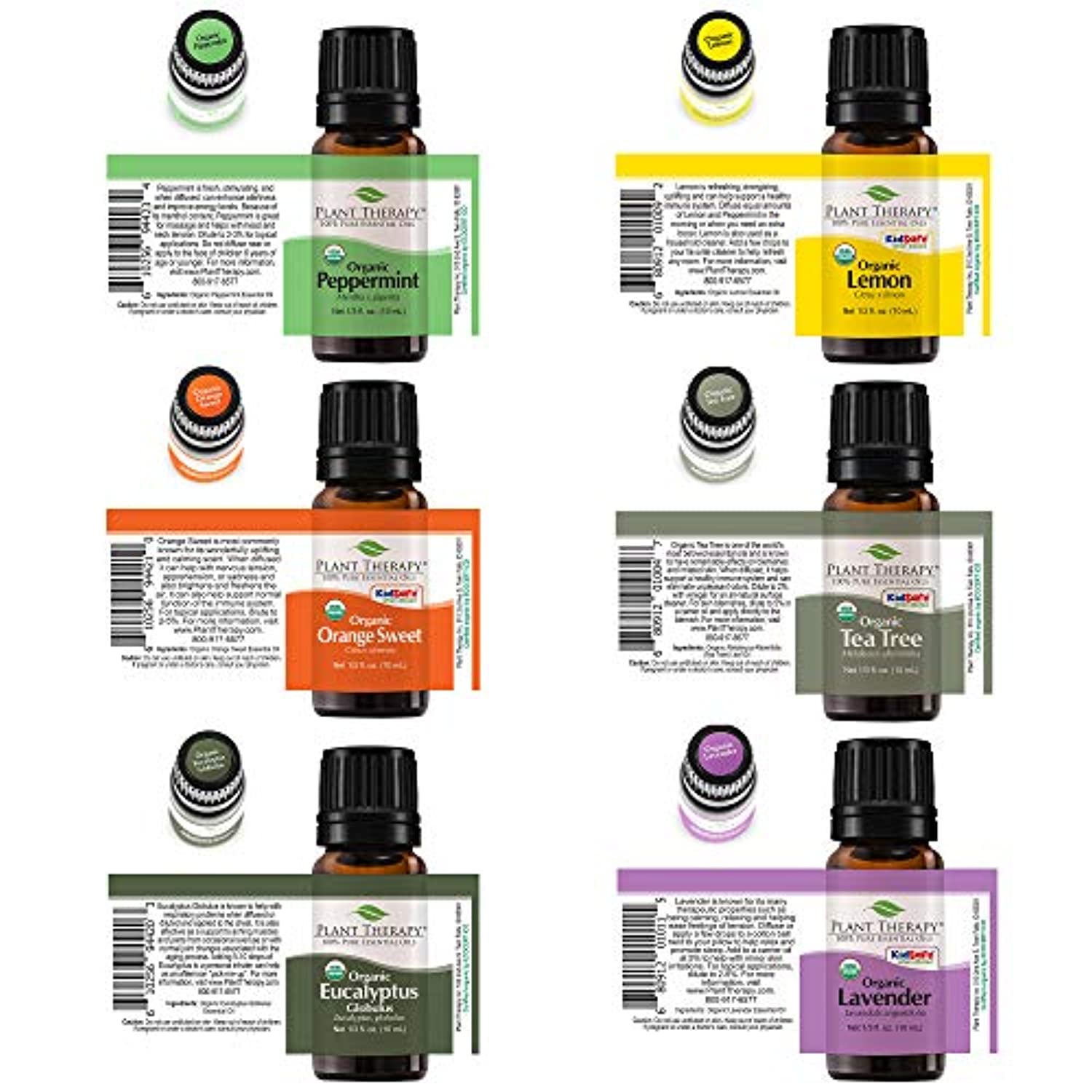 Conjunto de 6 aceites esenciales orgánicos certificados por USDA de Plant Therapy Essential Oils, incluye eucalipto, lavanda, naranja, menta, limón y árbol de té, 1/3 onzas cada uno