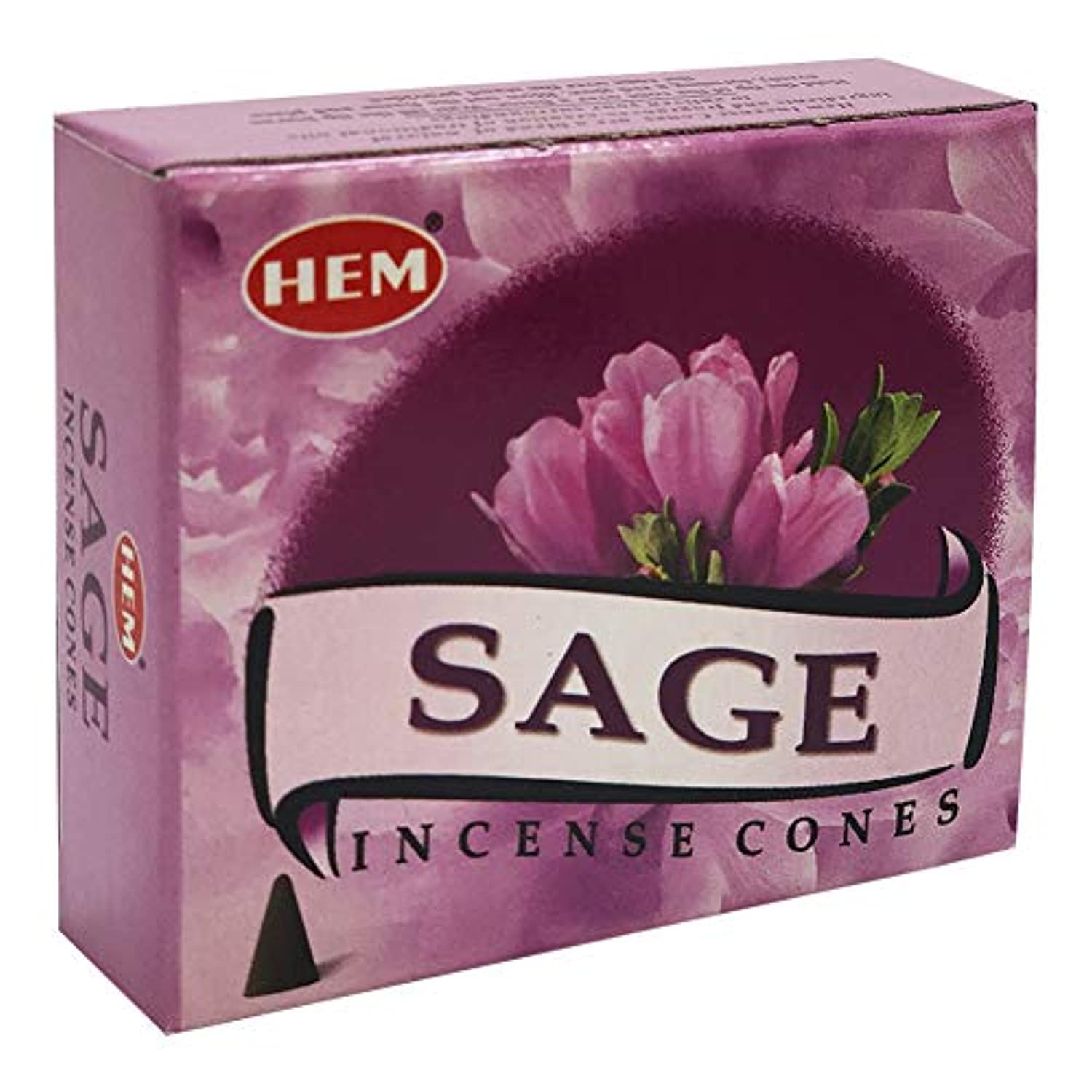 Conos de incienso de salvia y cono quemador de incienso paquete Insence Insense Inscents Insienso