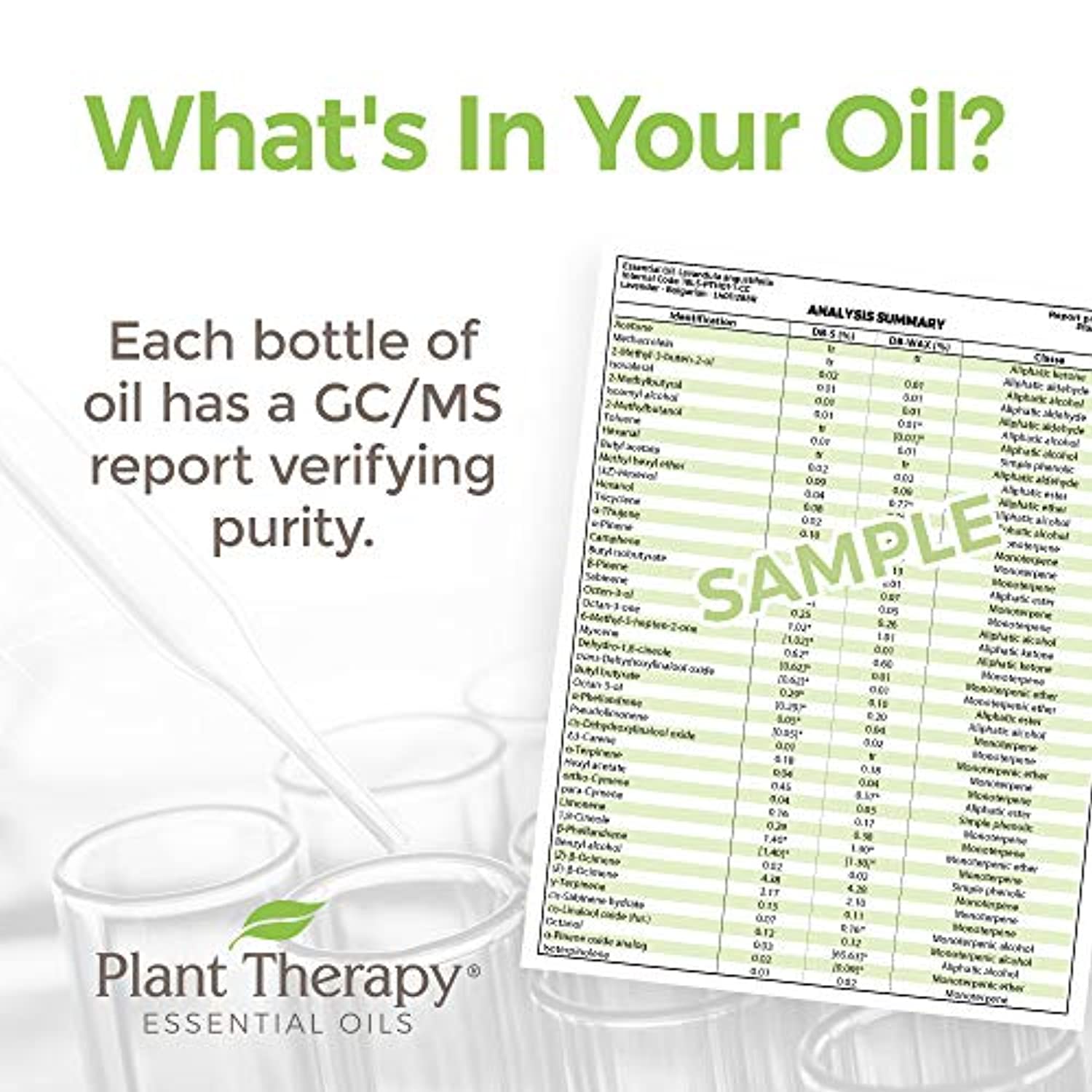 Conjunto de 6 aceites esenciales orgánicos certificados por USDA de Plant Therapy Essential Oils, incluye eucalipto, lavanda, naranja, menta, limón y árbol de té, 1/3 onzas cada uno