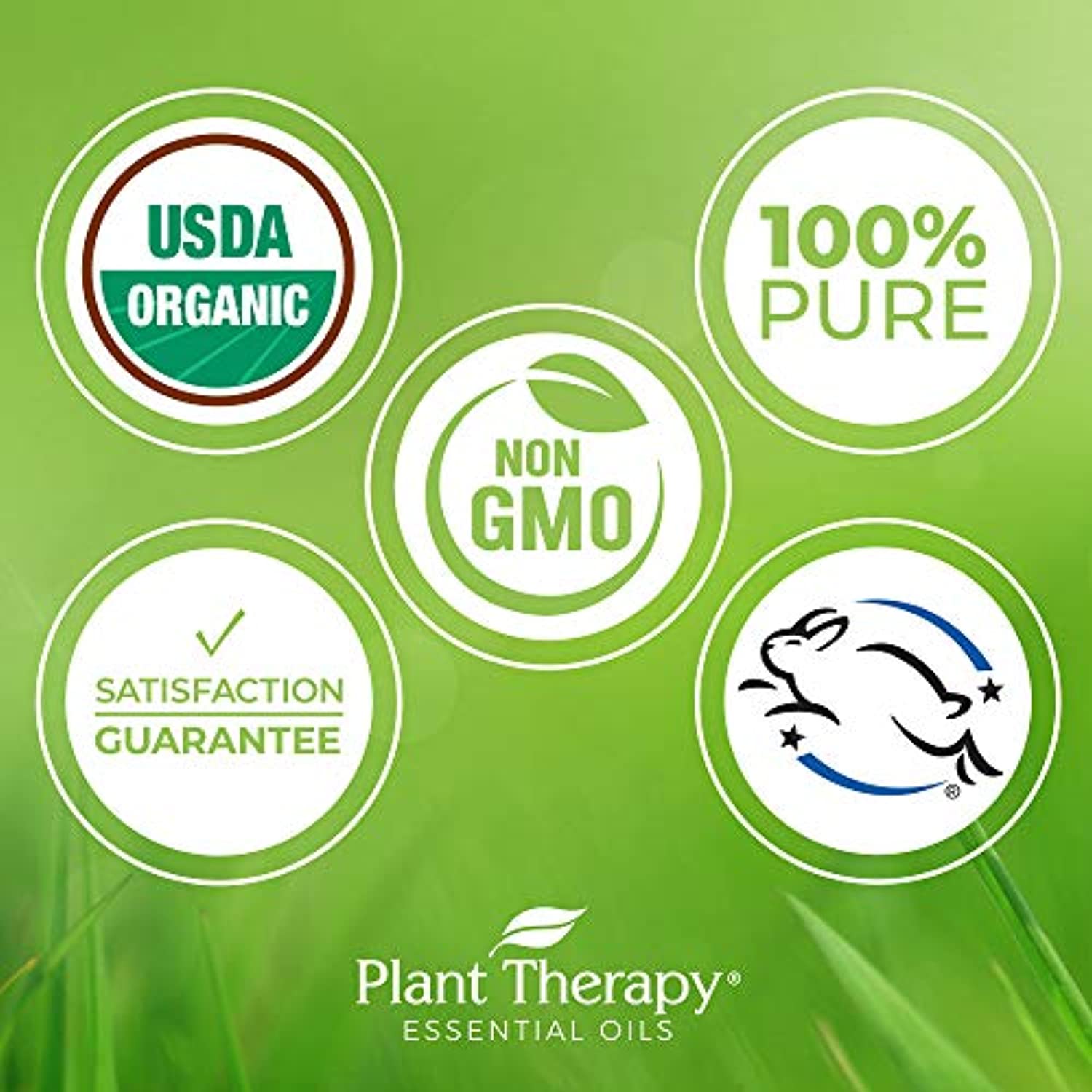 Conjunto de 6 aceites esenciales orgánicos certificados por USDA de Plant Therapy Essential Oils, incluye eucalipto, lavanda, naranja, menta, limón y árbol de té, 1/3 onzas cada uno