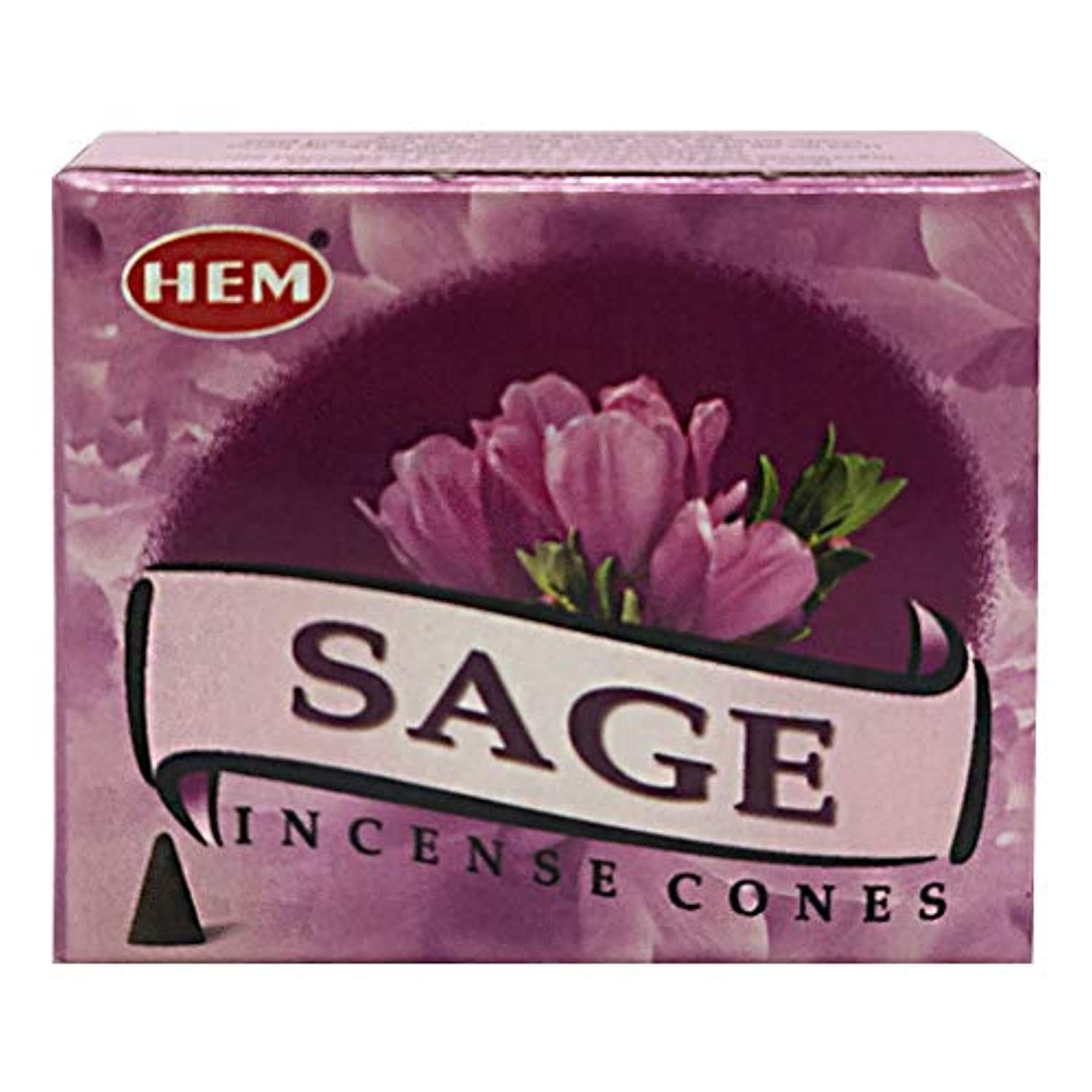 Conos de incienso de salvia y cono quemador de incienso paquete Insence Insense Inscents Insienso