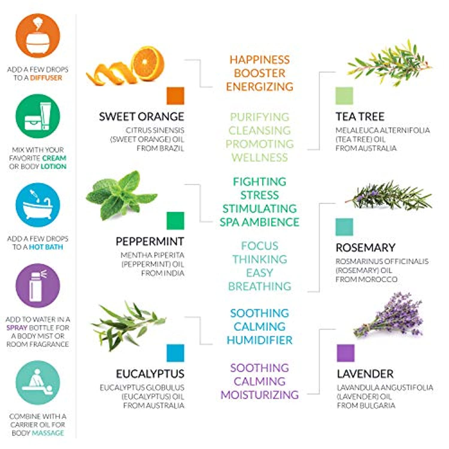 ArtNaturals, 6 aceites esenciales de aromaterapia, 100% puro de la mejor calidad, menta, árbol de té, romero, lavanda, eucalipto e incienso, grado terapéutico