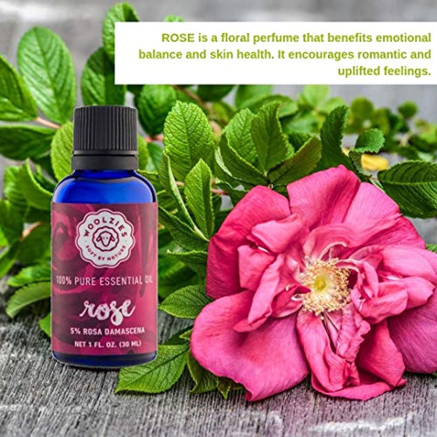 Woolzies puro, terapéutico aceite esencial Set Rosa de aceites, Premium de sándalo y vainilla