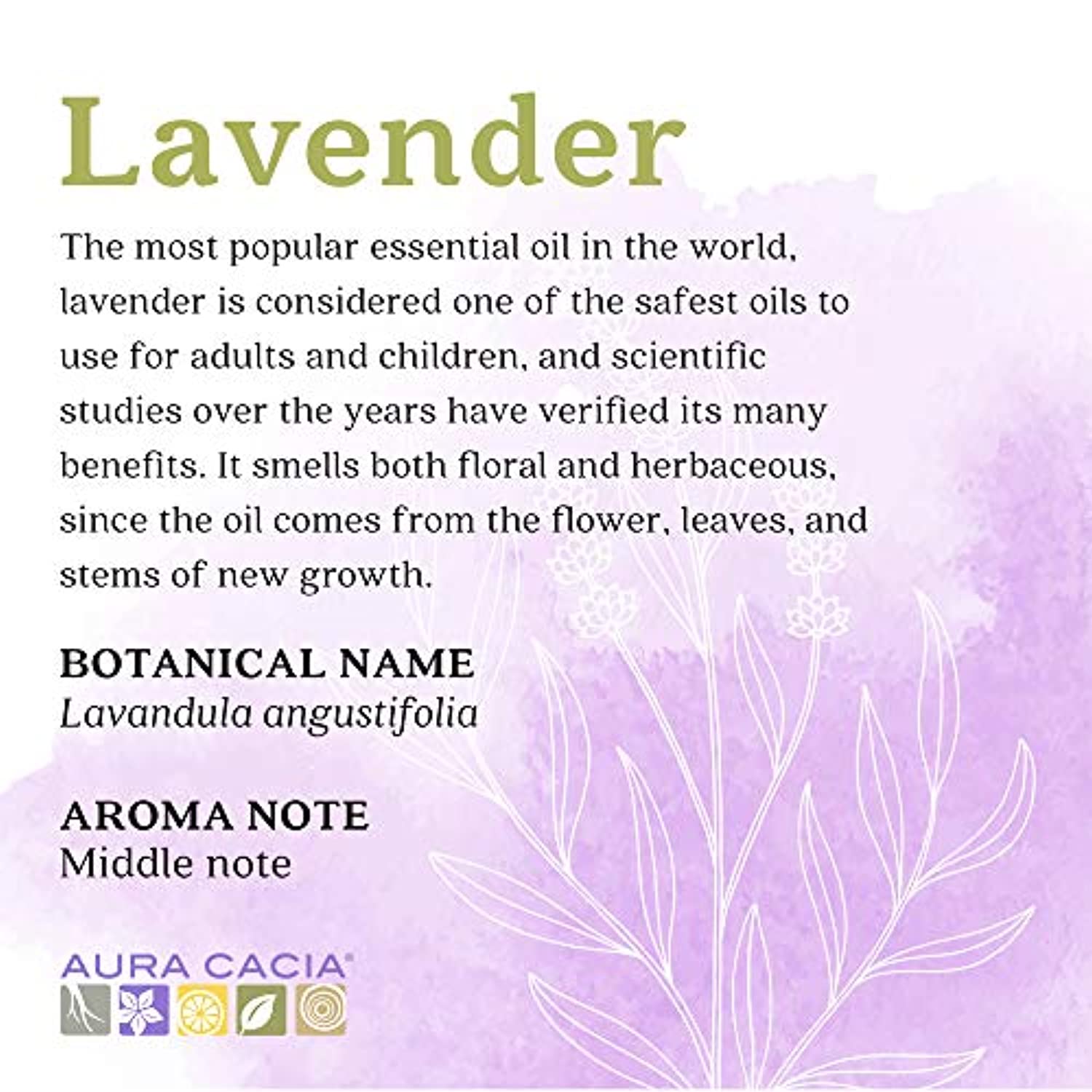 Aura Cacia Discover Aceite esencial de lavanda 100% puro | GC/MS probado para la pureza | 0.3 fl oz (0.25 fl. oz.) en caja con inserto de usos | Lavandula angustifolia