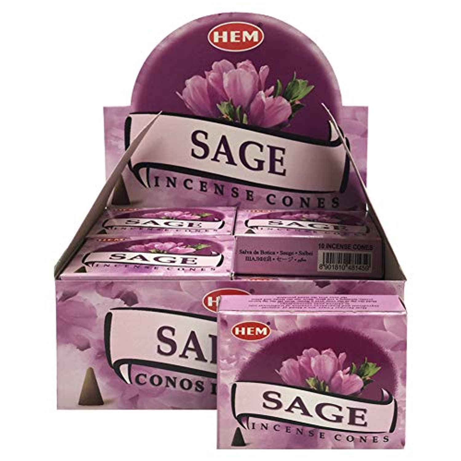 Conos de incienso de salvia y cono quemador de incienso paquete Insence Insense Inscents Insienso