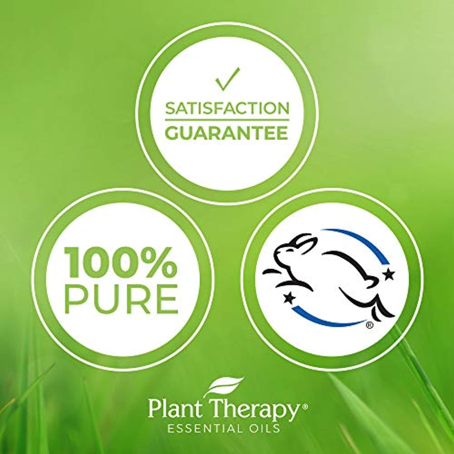 Plant Therapy Juego de aceite esencial de limón, lavanda y menta 0.3 fl oz (1/3 oz) 100% puro, sin diluir, grado terapéutico