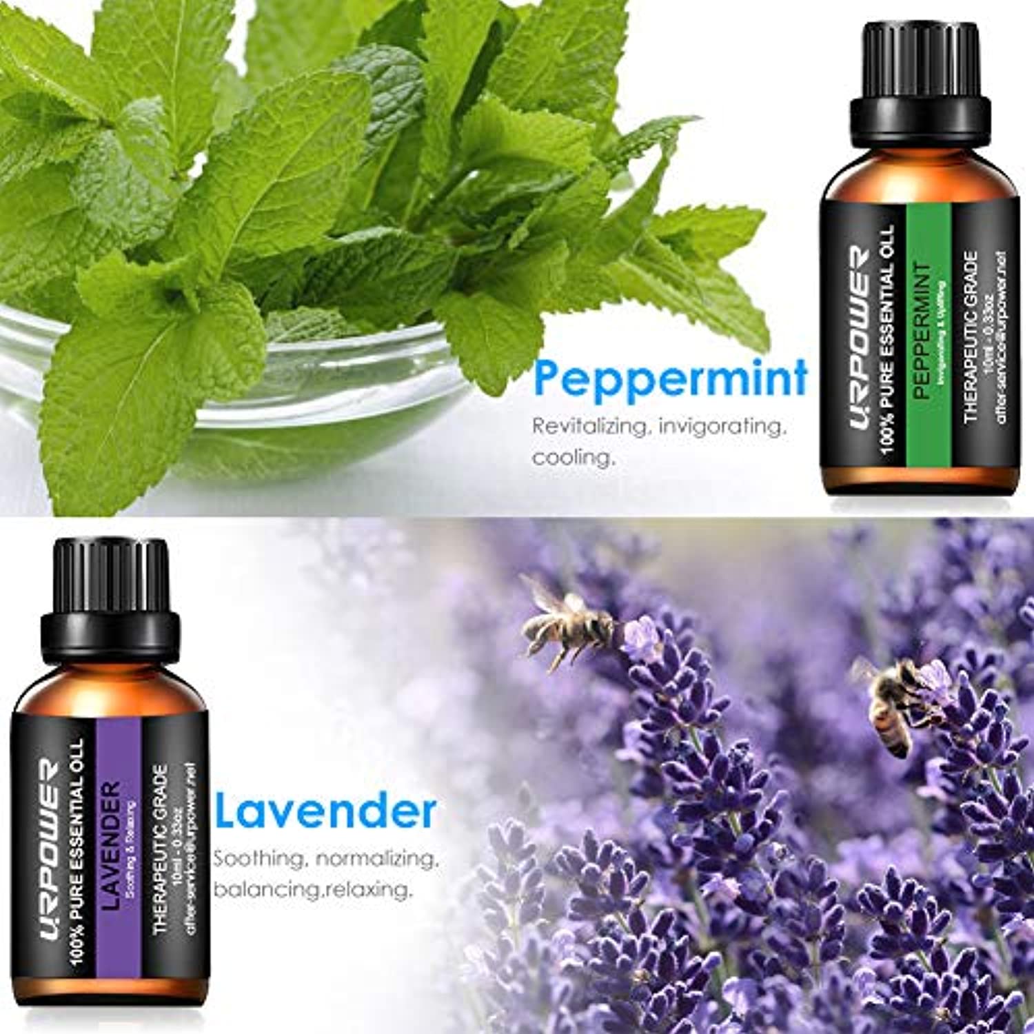 URPOWER Aceites esenciales de aromaterapia superior 8 aceites esenciales 100% puro grado terapéutico aceites esenciales Set lavanda/menta/árbol de té/naranja/eucalipto/limongrass/incienso/romero