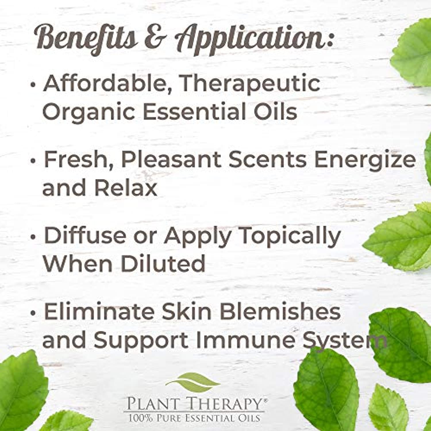 Conjunto de 6 aceites esenciales orgánicos certificados por USDA de Plant Therapy Essential Oils, incluye eucalipto, lavanda, naranja, menta, limón y árbol de té, 1/3 onzas cada uno