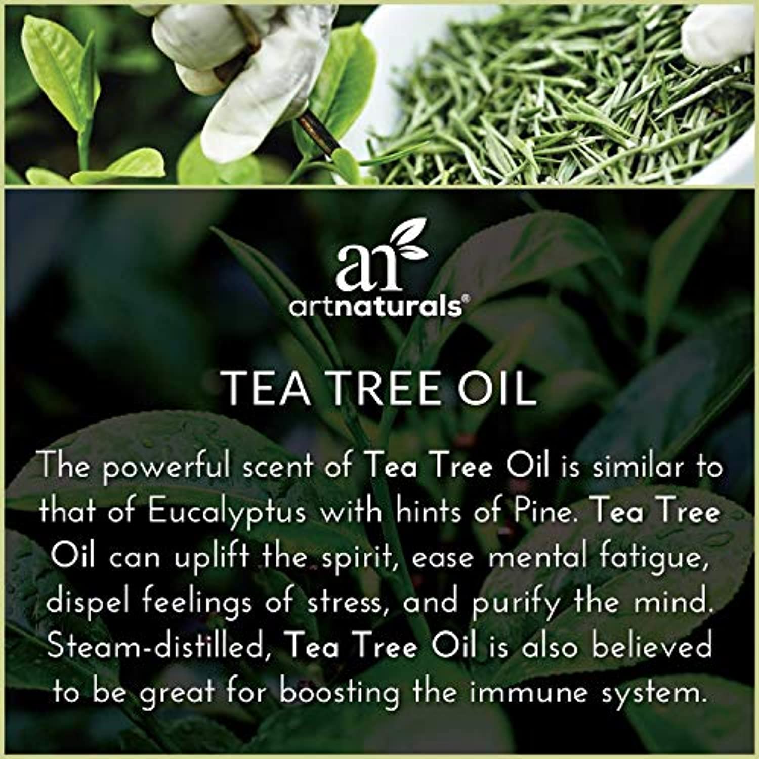 ArtNaturals, 6 aceites esenciales de aromaterapia, 100% puro de la mejor calidad, menta, árbol de té, romero, lavanda, eucalipto e incienso, grado terapéutico