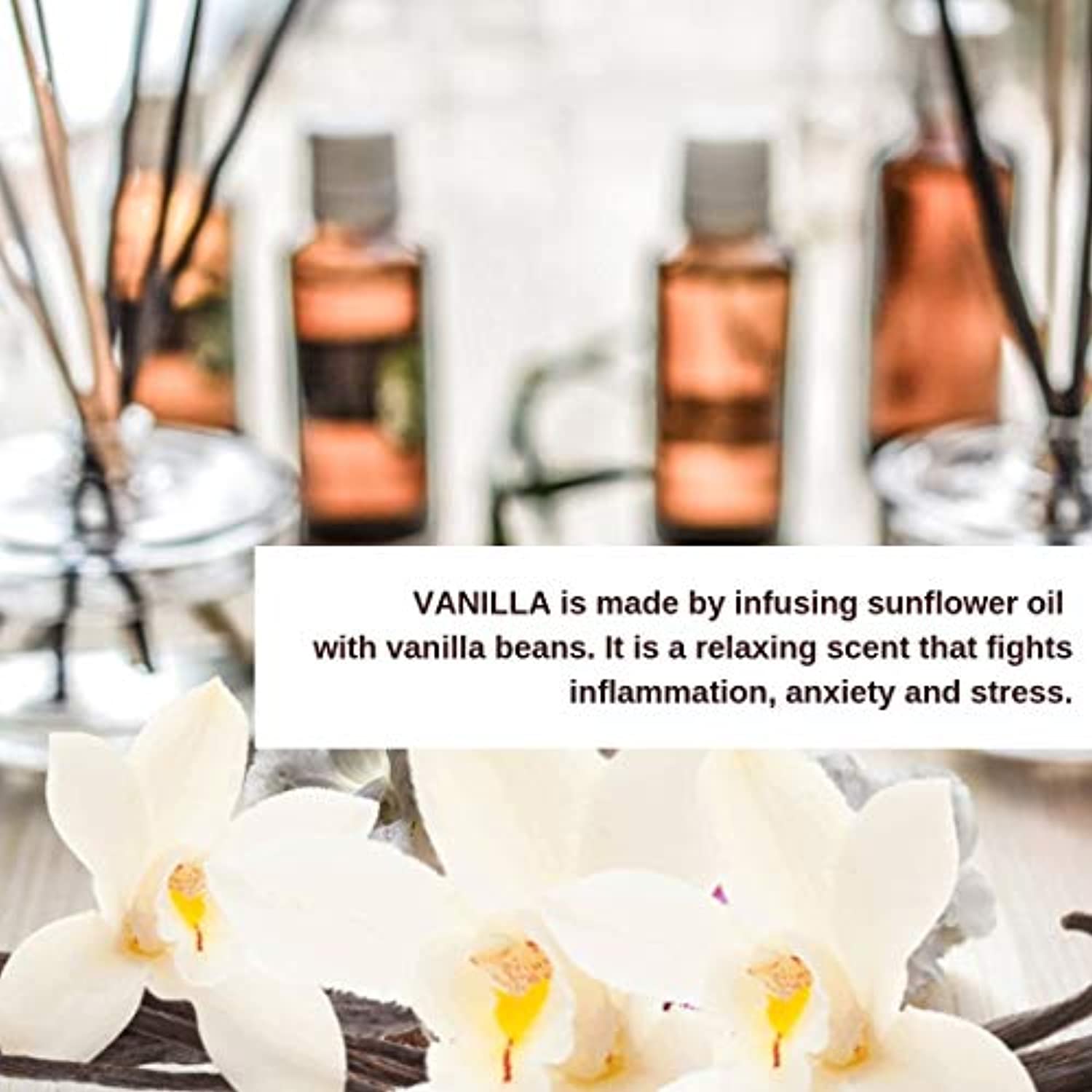 Woolzies puro, terapéutico aceite esencial Set Rosa de aceites, Premium de sándalo y vainilla