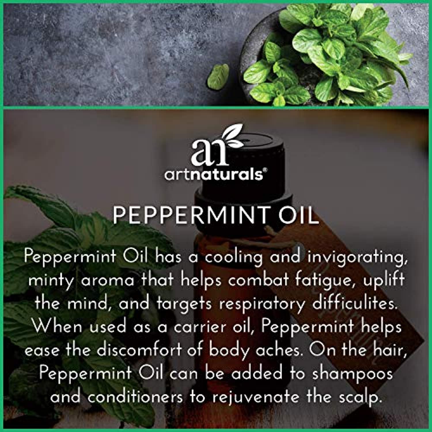 ArtNaturals, 6 aceites esenciales de aromaterapia, 100% puro de la mejor calidad, menta, árbol de té, romero, lavanda, eucalipto e incienso, grado terapéutico