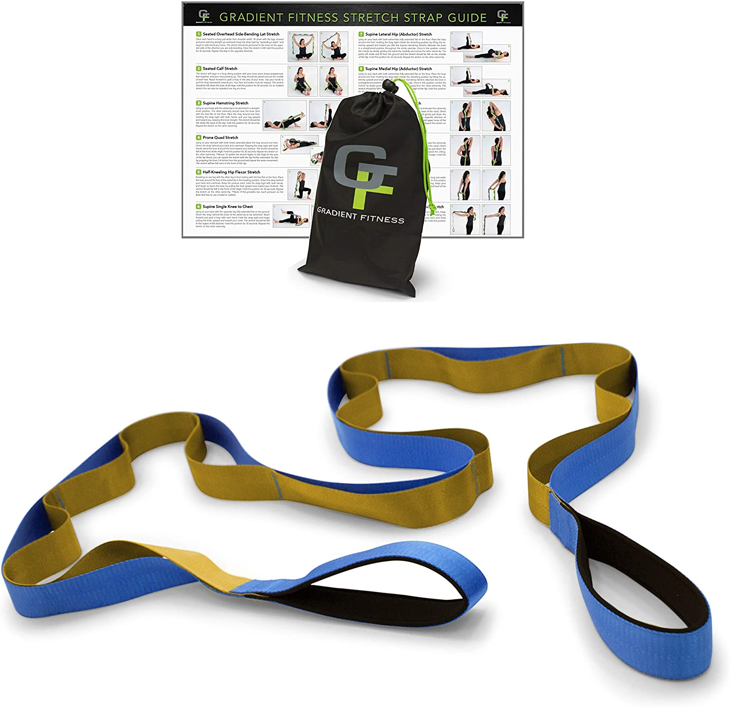 Gradient Fitness - Correa elástica de alta calidad, asas acolchadas de neopreno, 12 bucles, 1.5