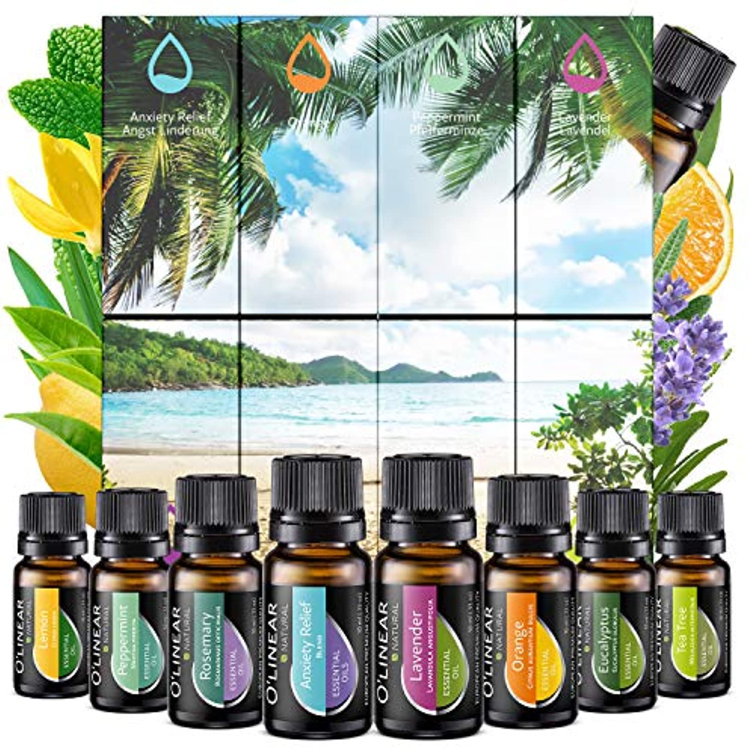 Set de regalo de Aceites Esenciales Onepure para Aromaterapia, 6 botellas  de 0.34 fl oz cada una, 100 % puros (lavanda, árbol de té, eucalipto